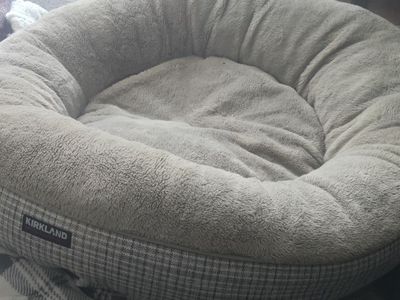 Large Kirkland dog bed