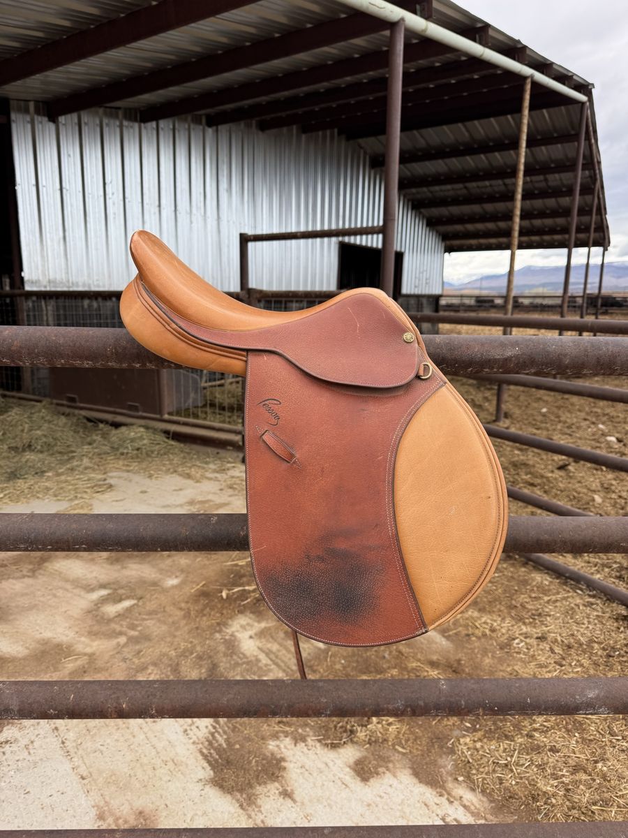 Pessoa saddle