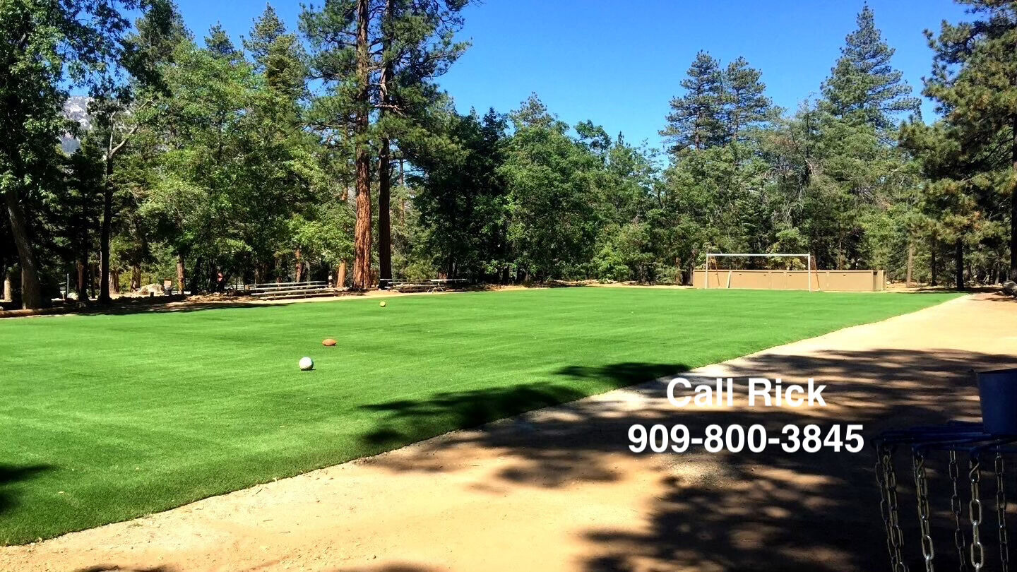 ️ Winter Sale on Beautiful Artificial Turf!