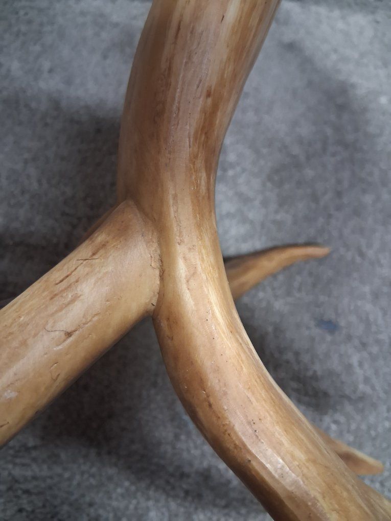 Main image 5