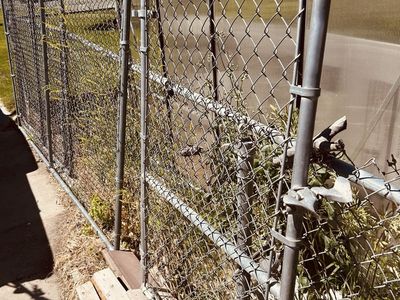 Chain link Gate