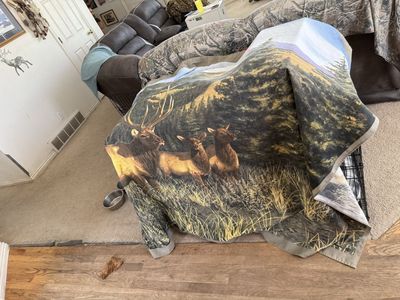 Rustic Wildlife & Cabin Decor Lot - Elk shower curtain Moose Coat Rack, Outlet Covers & Towel Ring
