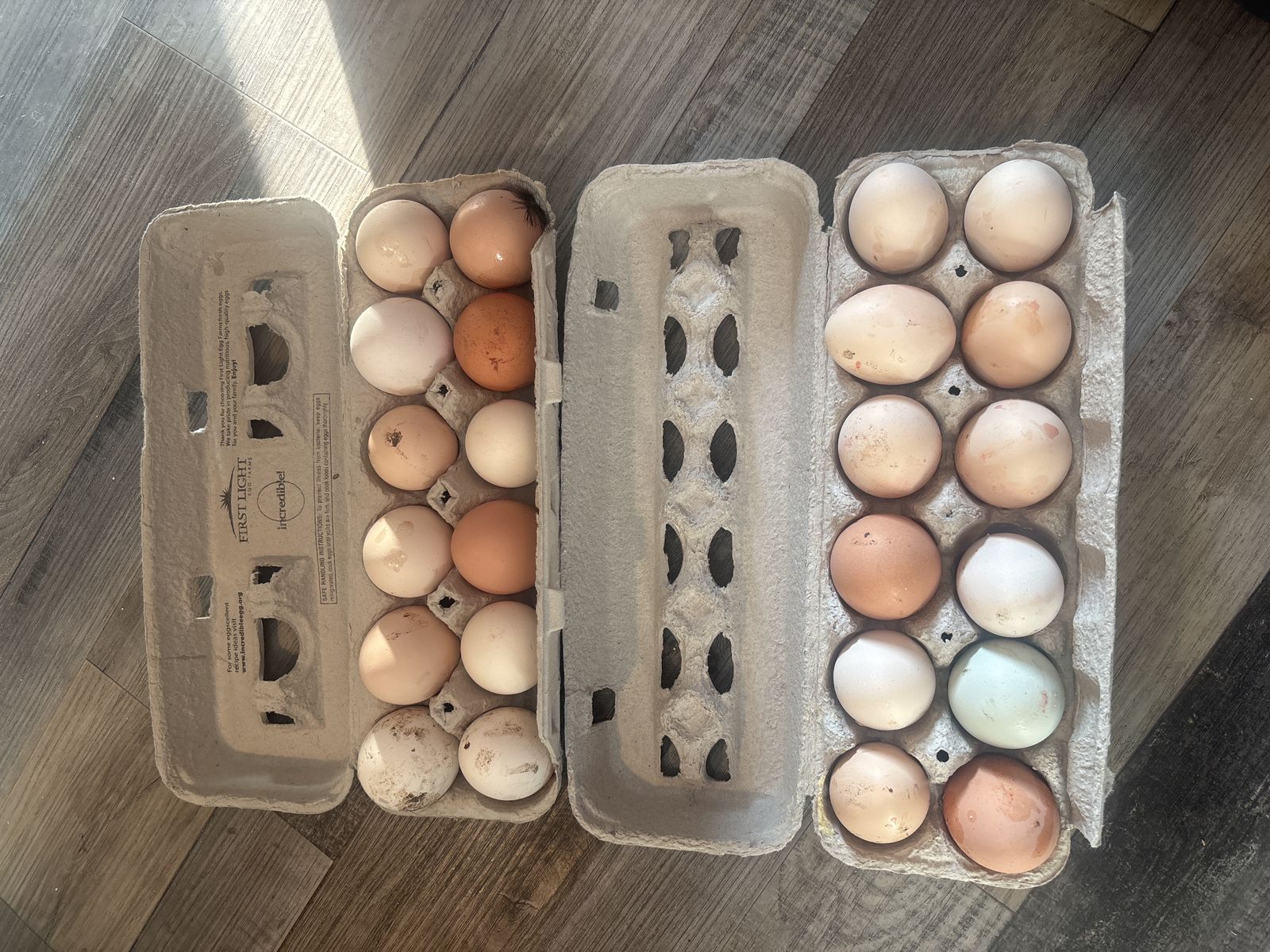 Farm fresh Eggs