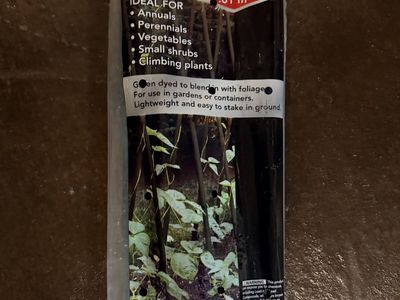 Garden Bamboo Sticks 24