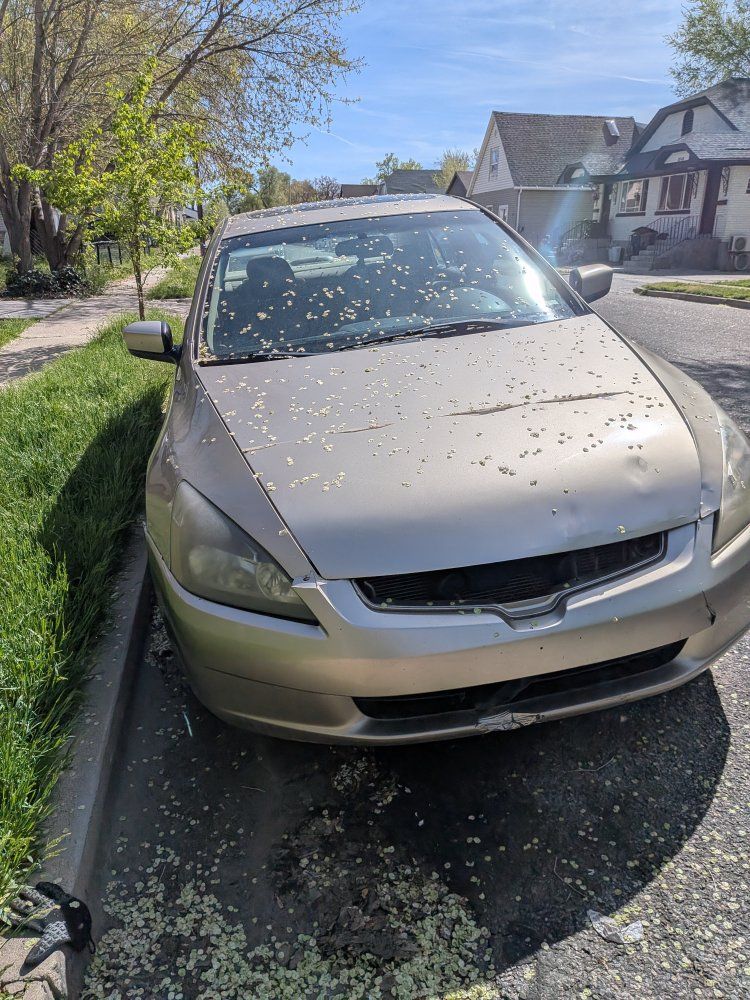 2003 HONDA ACCORD EX