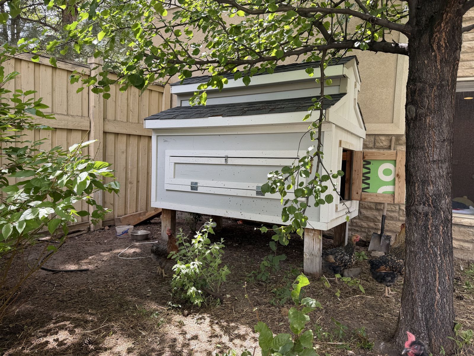 Heavy duty hardy board chicken coop with 10 1.5 year old chickens for sale!