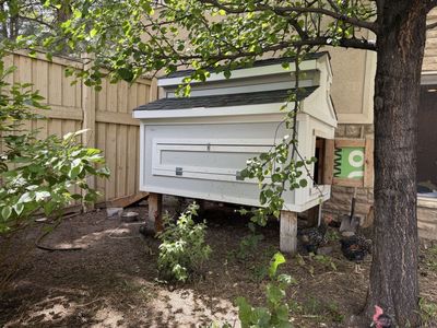 Heavy duty hardy board chicken coop with 10 1.5 year old chickens for sale!