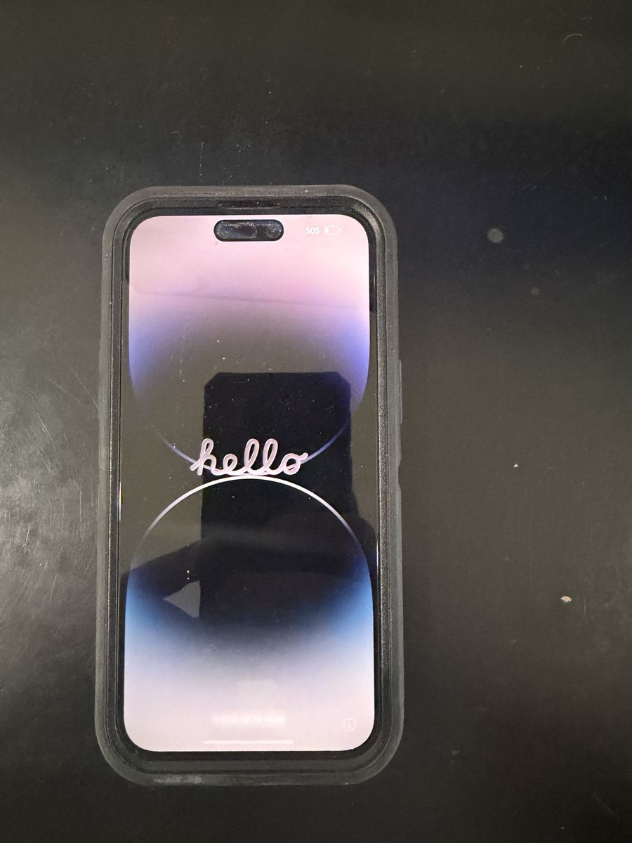 iPhone 14 ProMax 256gb Unlocked