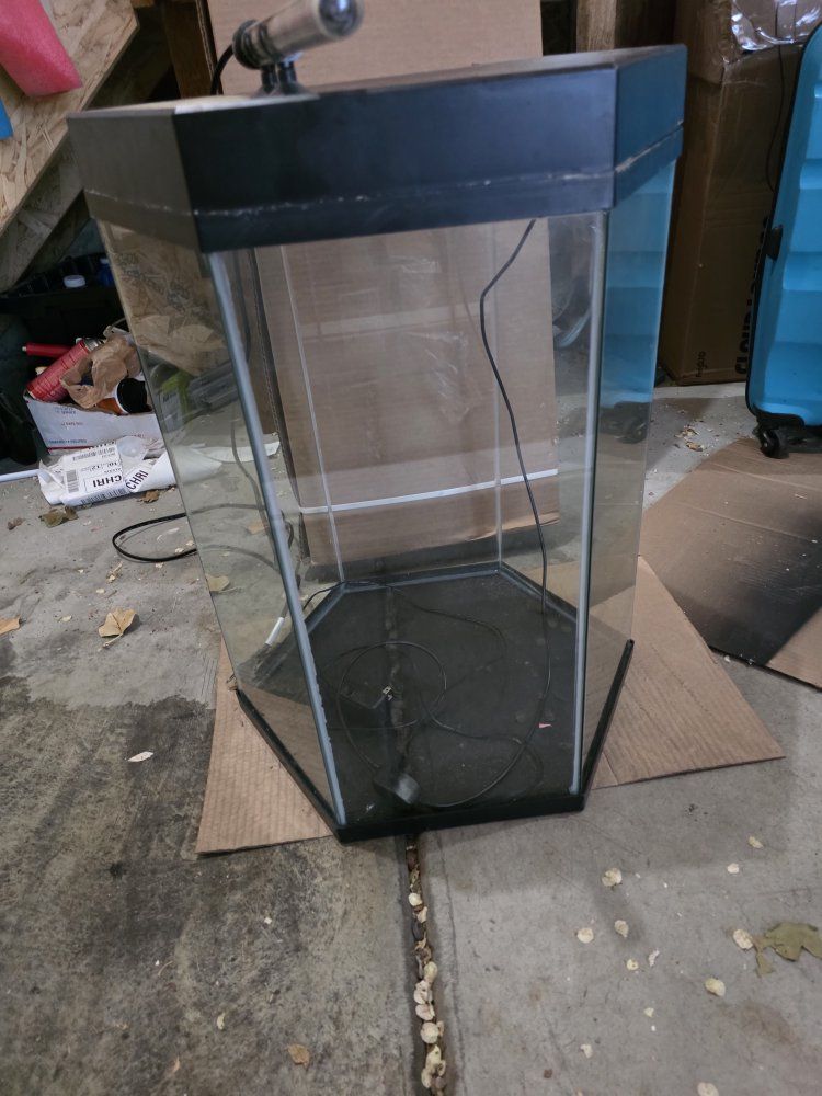fish tank w/heater