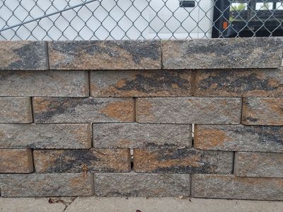 GOLD COAST BLOCKS 6x4x16