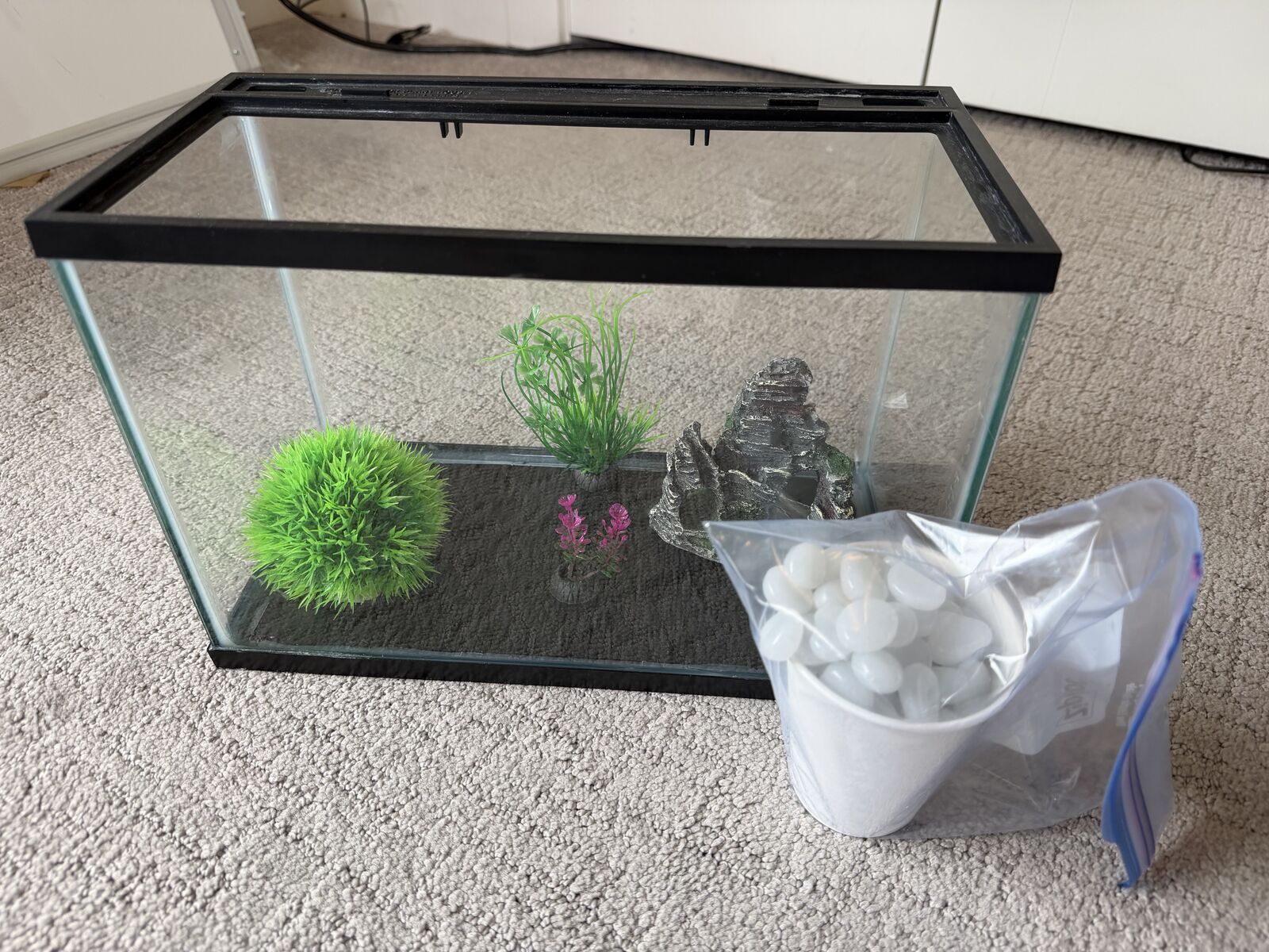 2.5g Glass Aquarium w/ Decor + Glow-in-the-Dark Pebbles