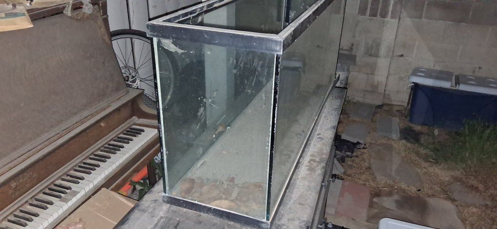 Used 55g aquarium $30