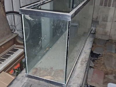 Used 55g aquarium $30