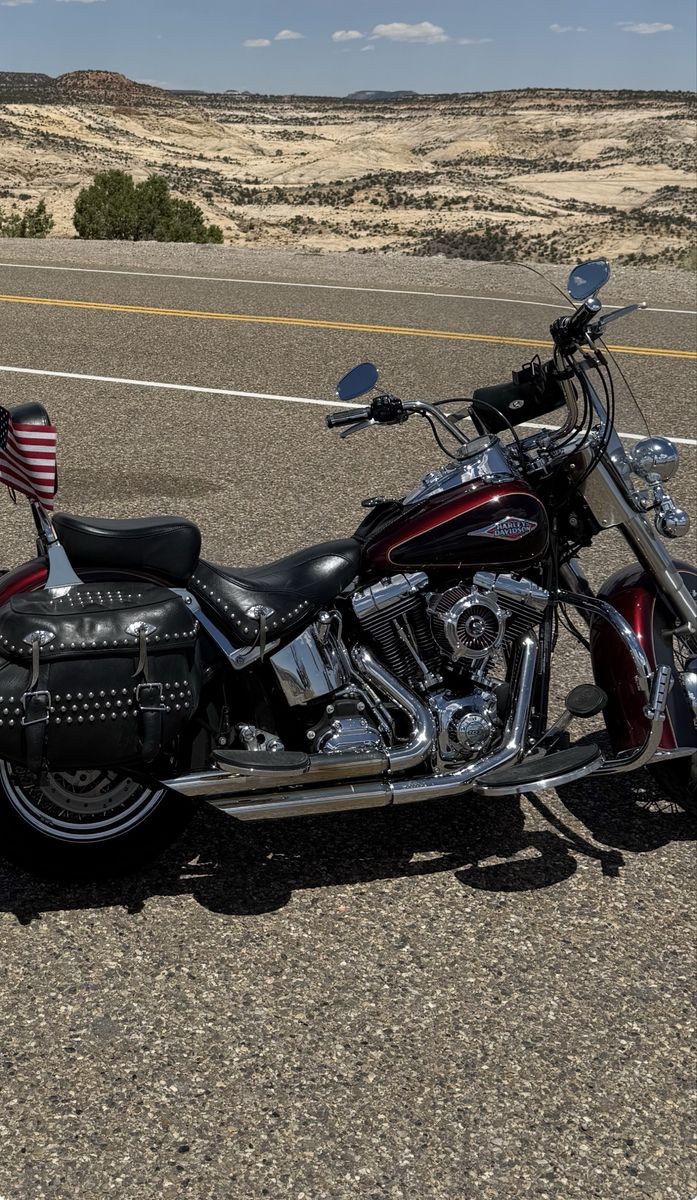 Bassani FireFlight Exhaust System Softail