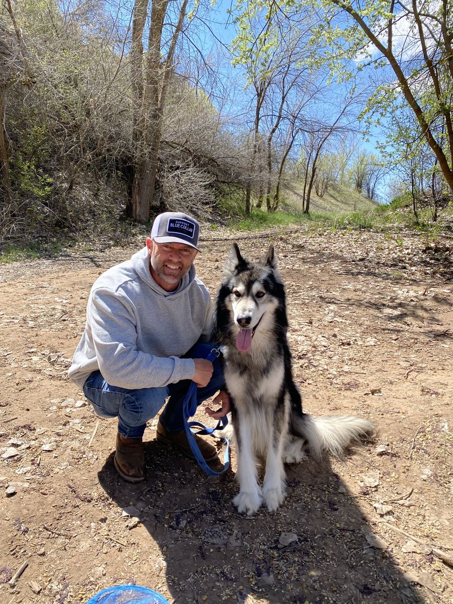 Wolf stud
