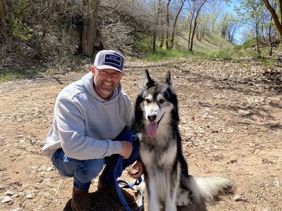 Wolf stud