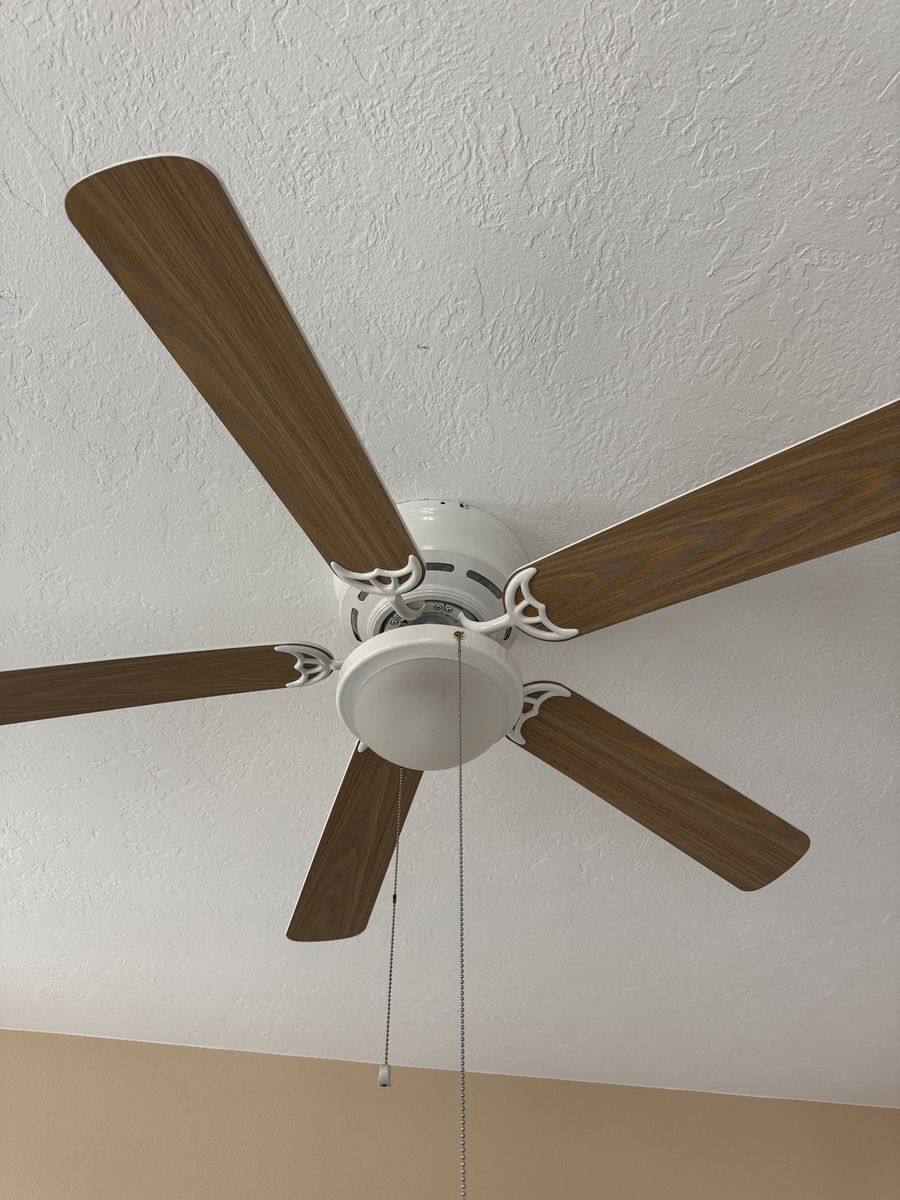 Ceiling fan
