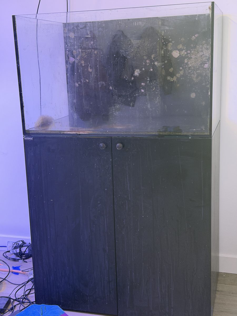 Waterbox 100.3