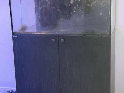 Waterbox 100.3