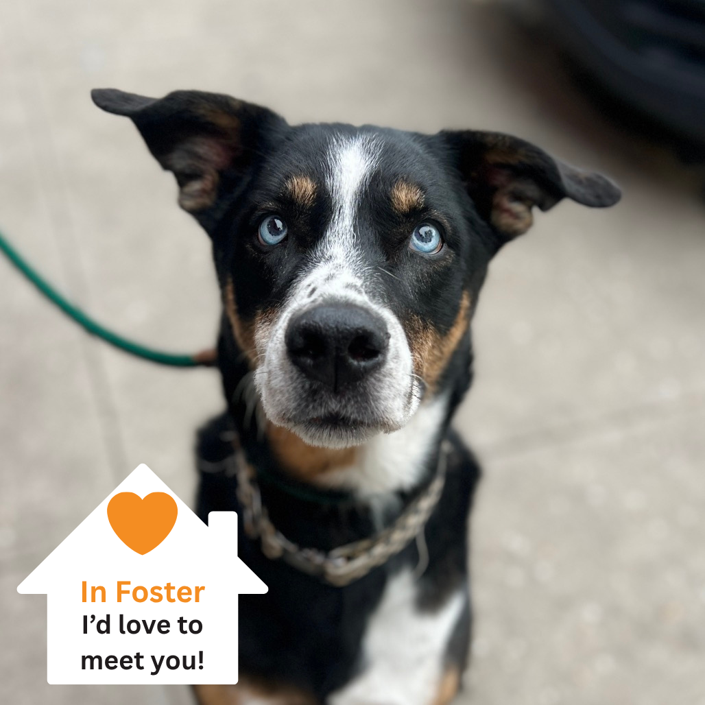 Hello my name is Margie