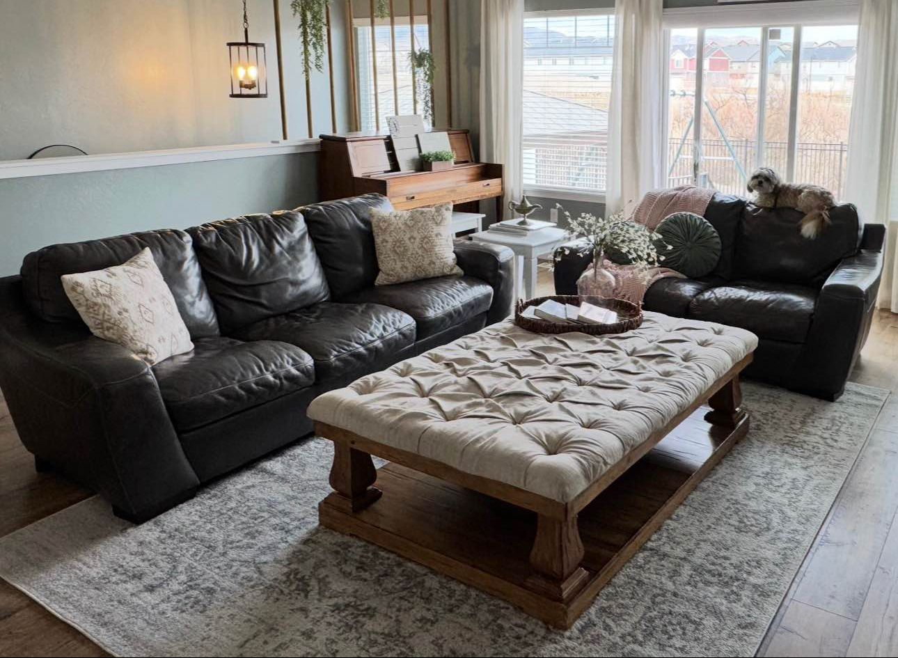 Set of leather couches