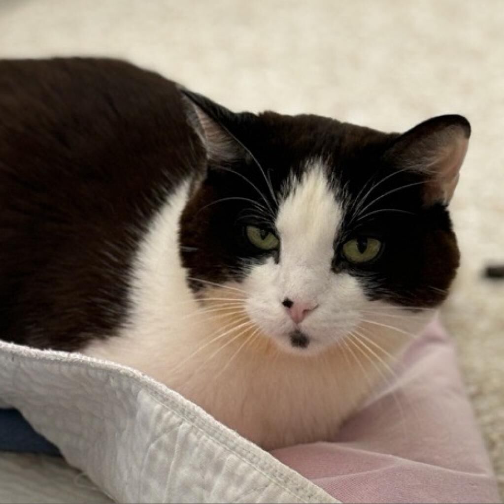 Hello my name is Lucky