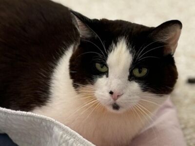 Hello my name is Lucky