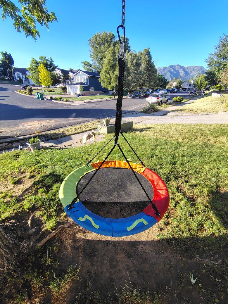 tree swing