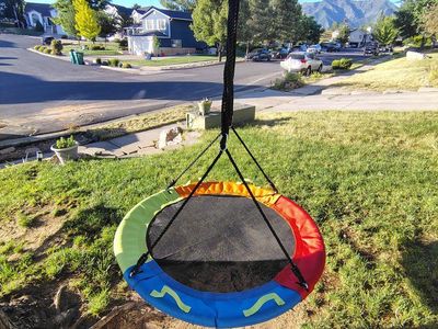 tree swing