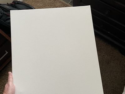 16x20 Stretched Art Canvases