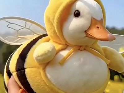 Sexed Call Duck babies