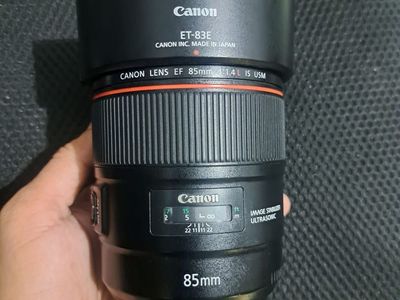 Canon 85mm 1.4 L