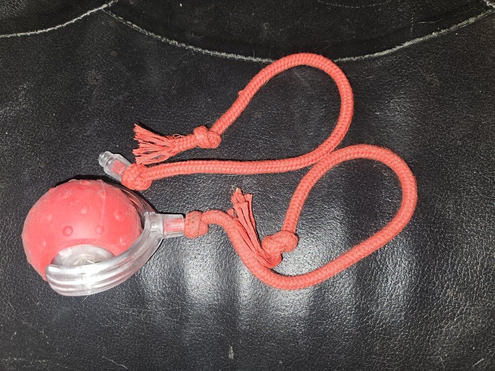 Rechargeable cat toy