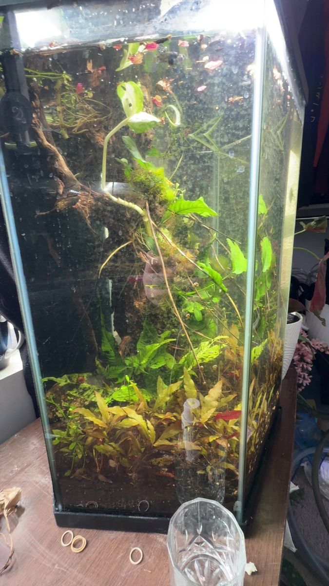 20g empty hexagon tank