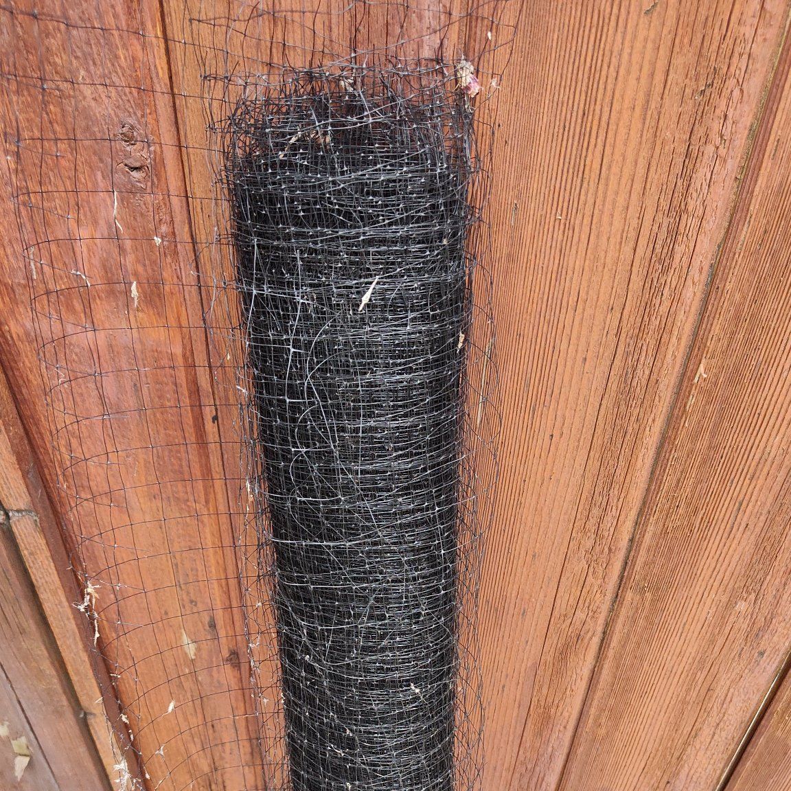 netting to deter birds from fruit trees