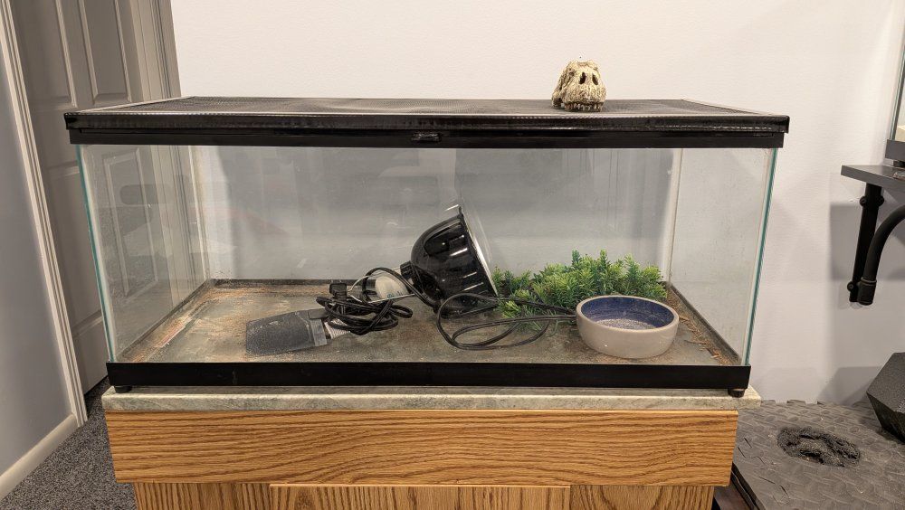 20 Gallon Reptile Terrarium