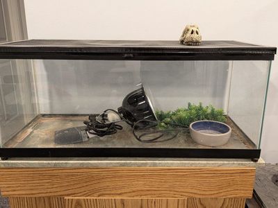 20 Gallon Reptile Terrarium