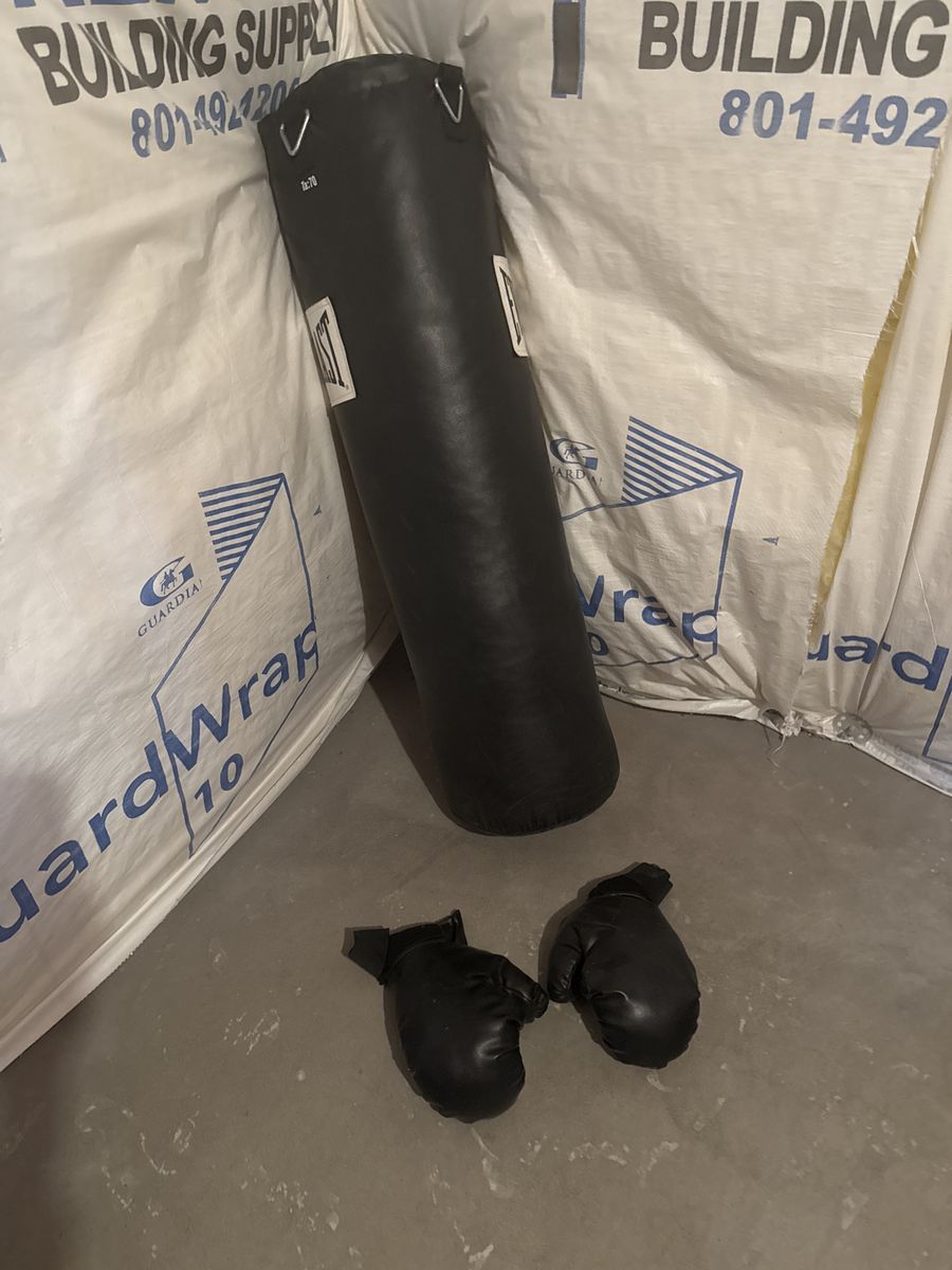 Punching bag with gloves