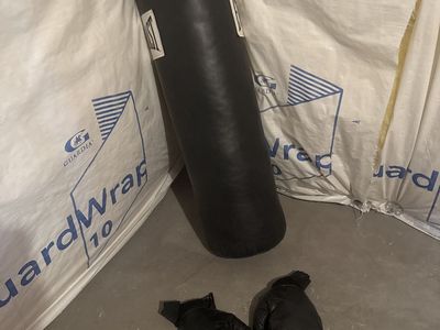 Punching bag with gloves