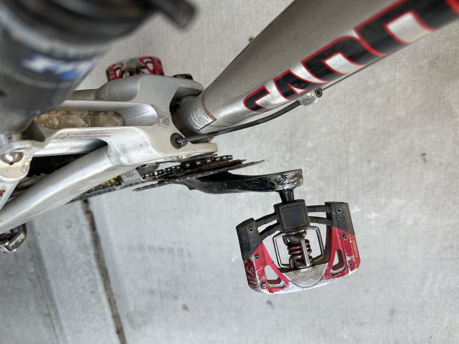 Main image 6