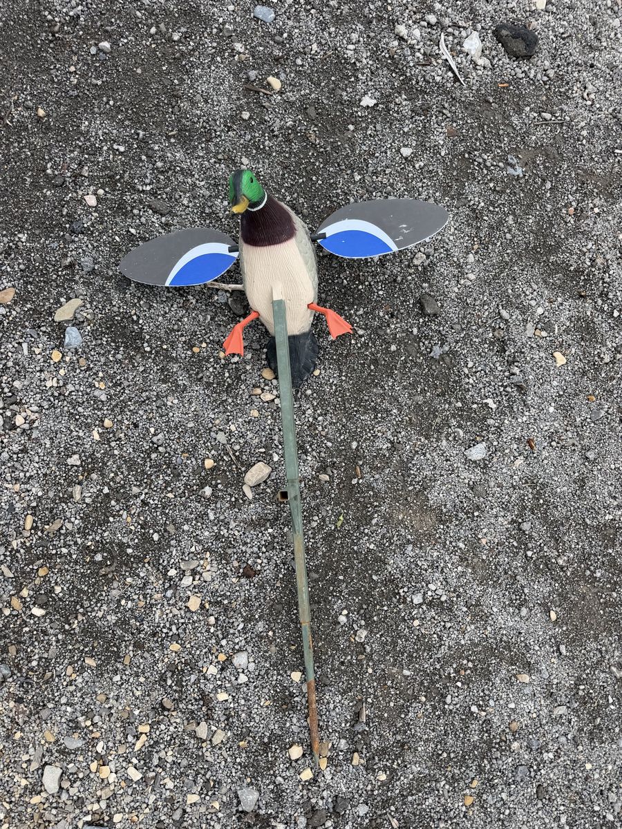 Mojo Mallard with Remote