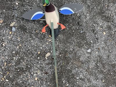 Mojo Mallard with Remote