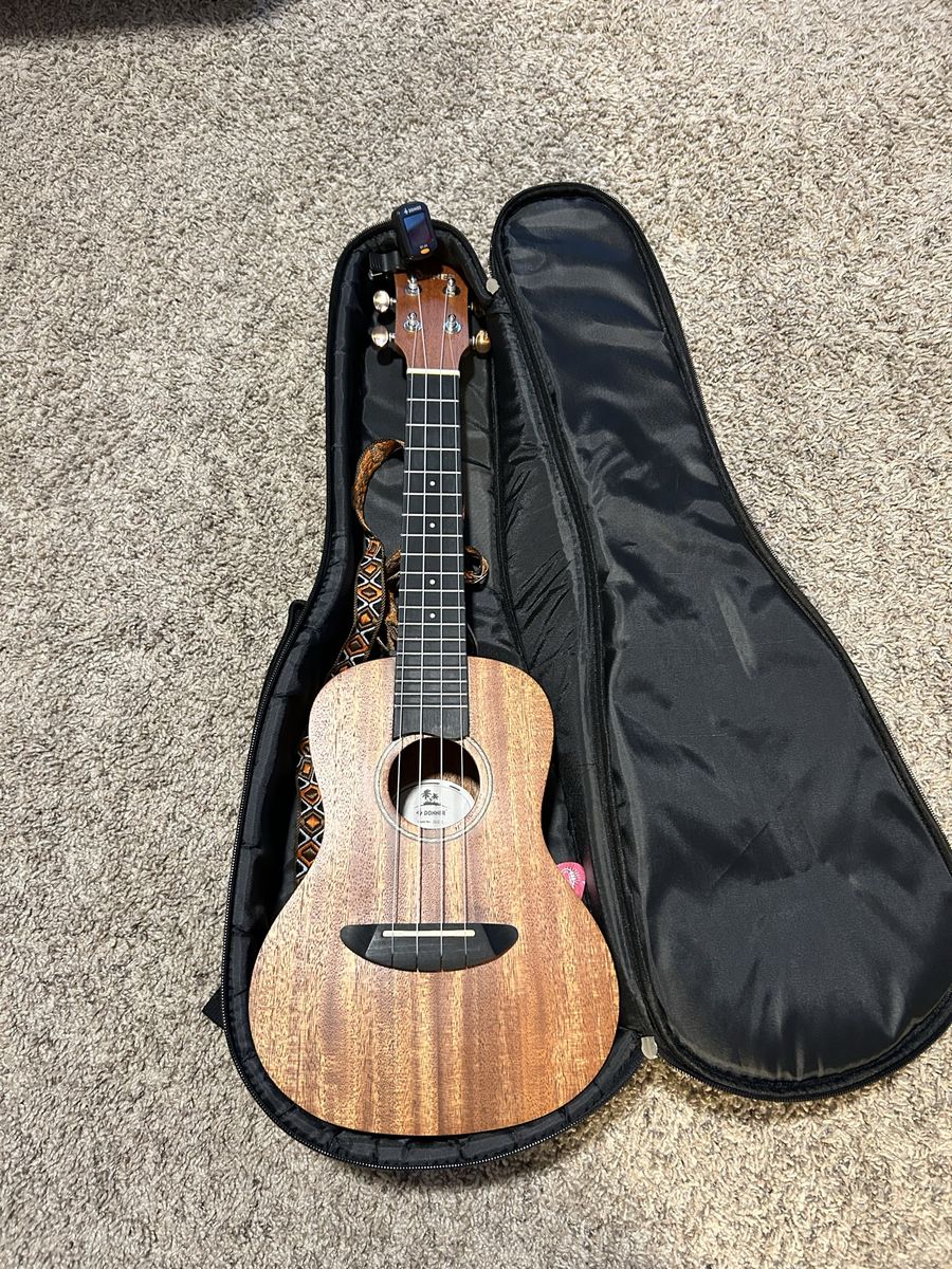 Uke and case