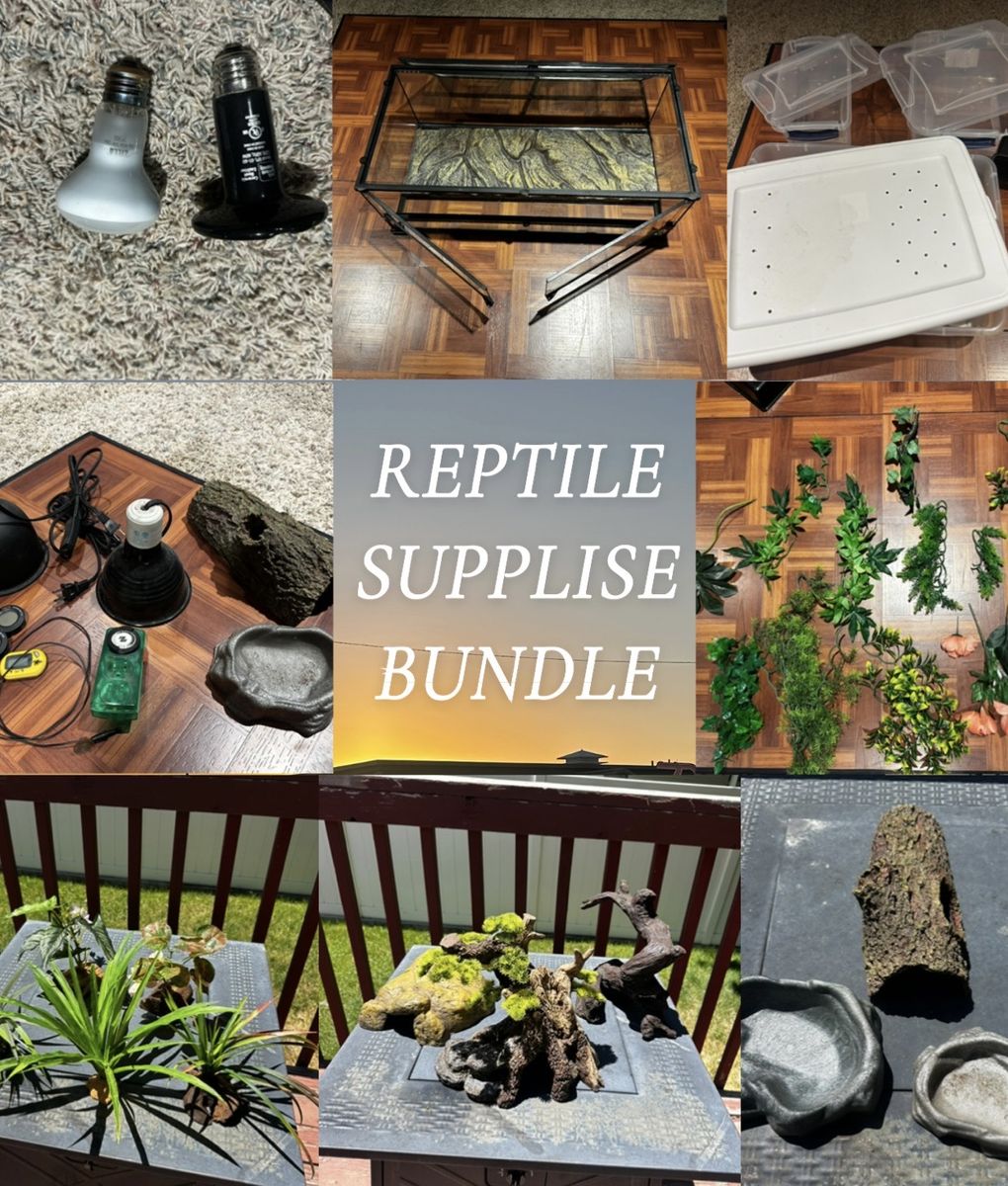 Reptile / Snake Supplies Bundle