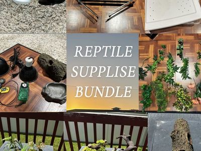Reptile / Snake Supplies Bundle
