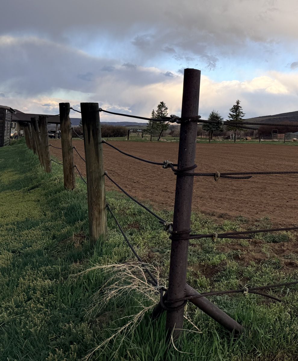 Steel Cable Horse Riding Arena for pickup