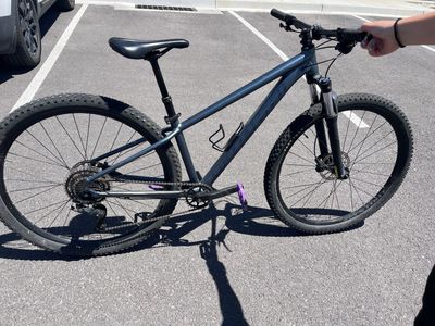 Specialized rock hopper mountain bike, small