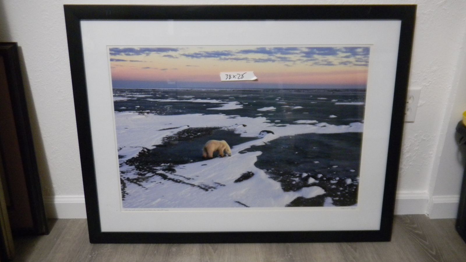 Signed  Howard Ruby photograph  of a Polar Bear 