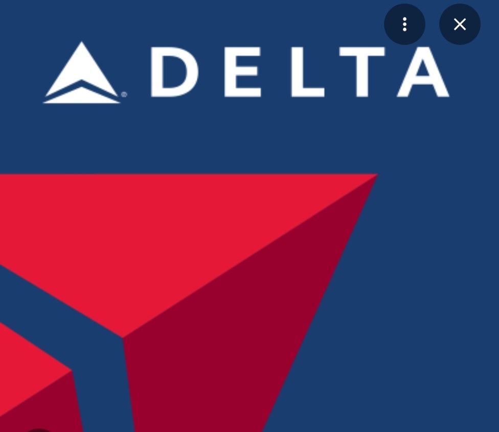 Delta Companion Ticket