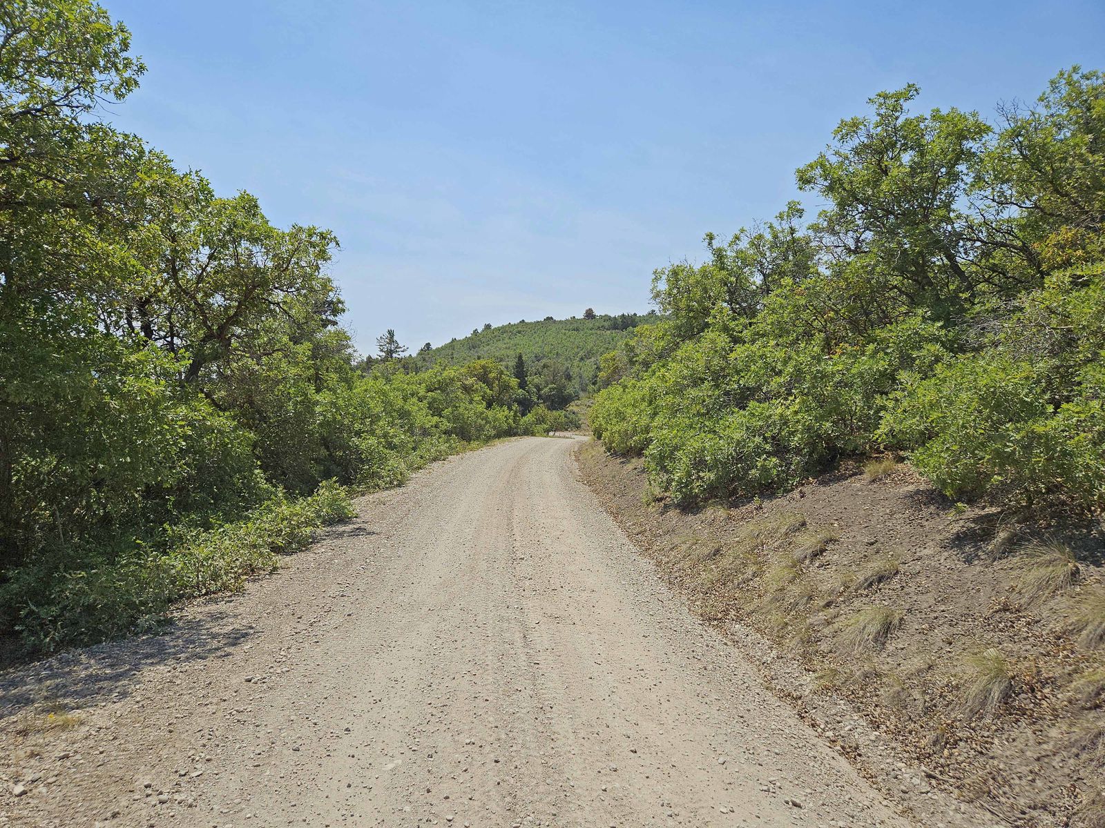 Main image 11
